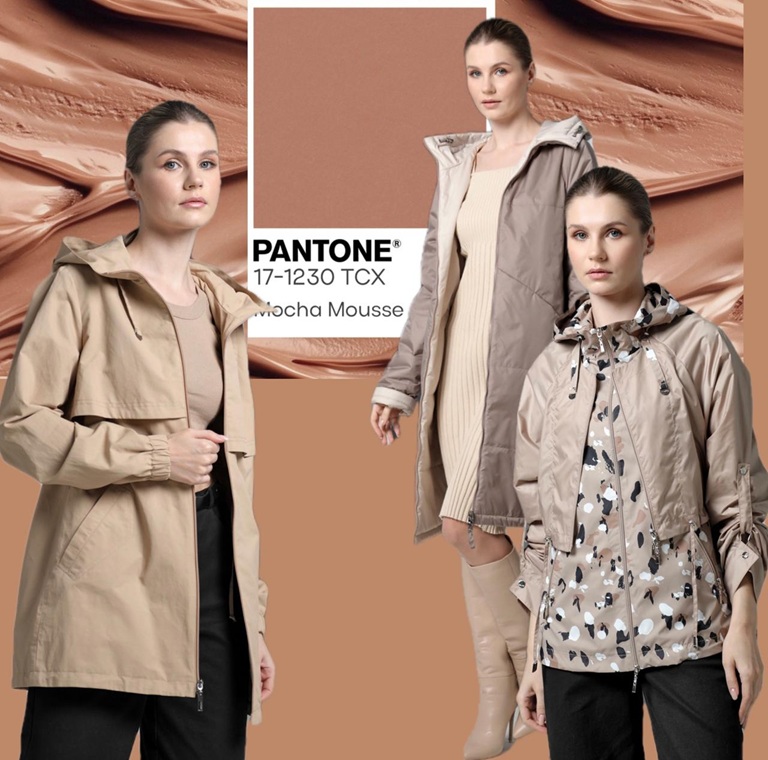  2025  - Mocha Mousse - - ,  ̣  !        DizzyWay!