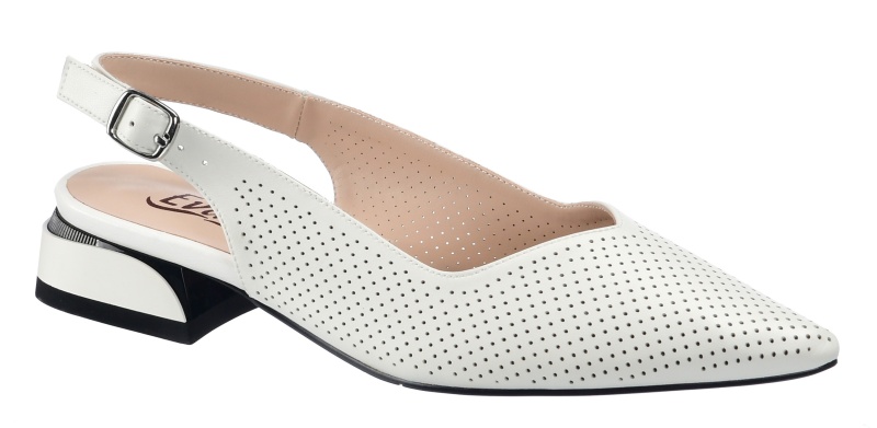 !        Evalli!  ,  ,  !     !   4 - 36,38,39,41 