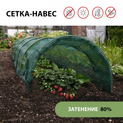  07.05     ,     ., ,, .  .-45 