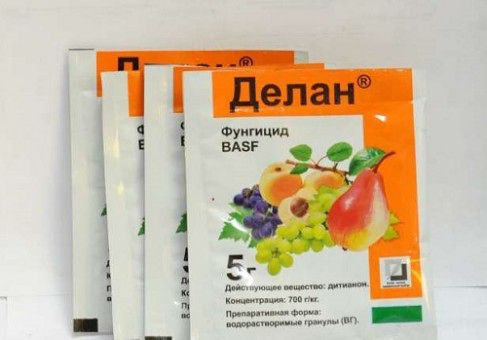 !)  5  (100   ) - 32 .