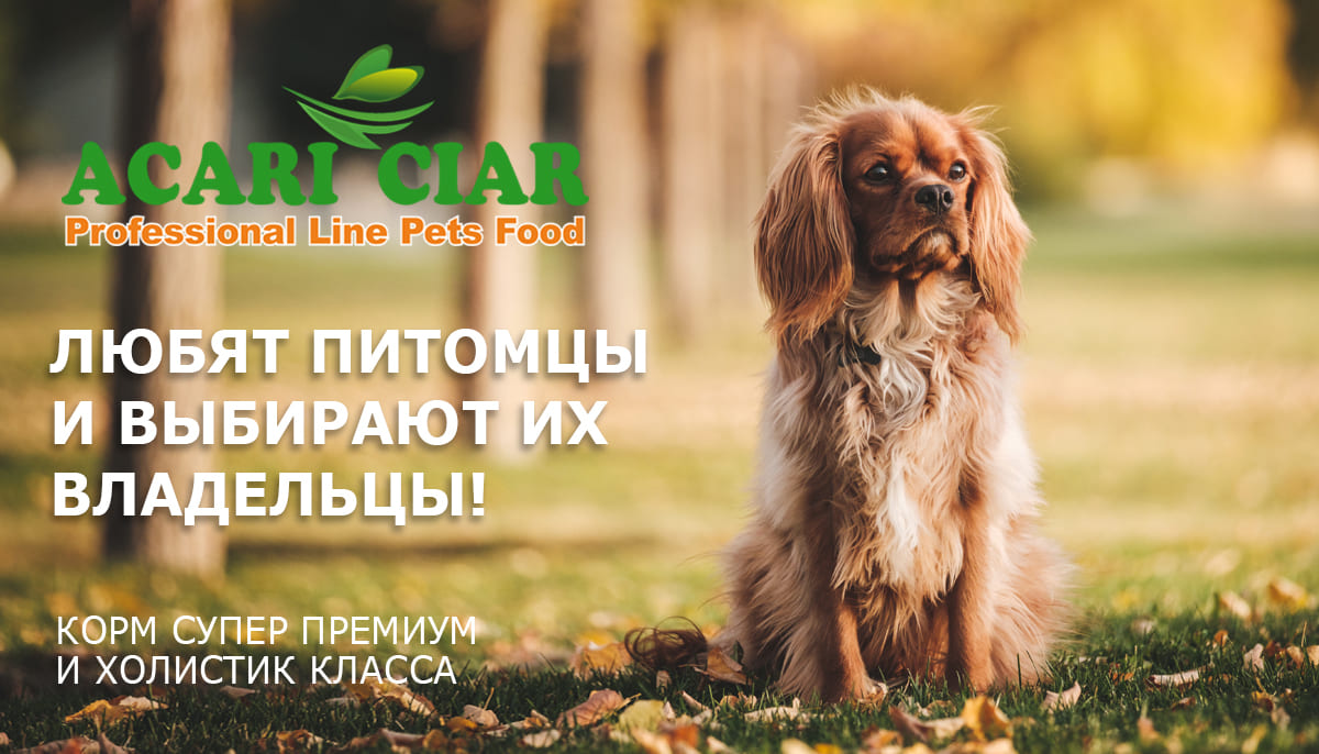 Acari Ciar (Акари Киар)-это корма, которые любят питомцы, и выбирают их владельцы! Это здоровое и натуральное питание для кошек и собак! Корма супер-премиум, холистики, диет.корма, запеченные и влажные! Цены ниже в 2 раза, чем на МП!
