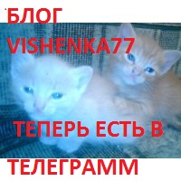 ВИШЕНКА 77 в ТЕЛЕГРАММ- подпишитесь на меня, не пропускайте новости)!  