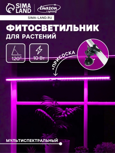  11.06     ,     ., ,, .  .-50 