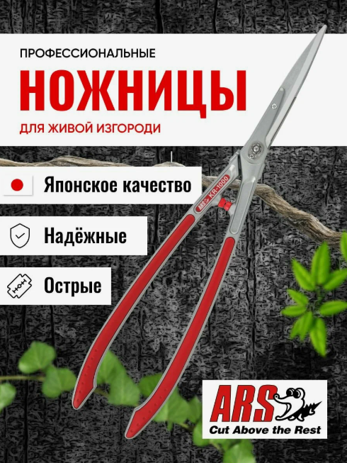   ARS. .  -!