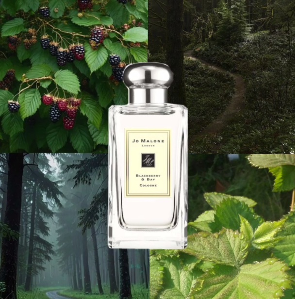 Blackberry & Bay -       Jo Malone!!!       .       ,   .    Sea Salt and Sage Wood