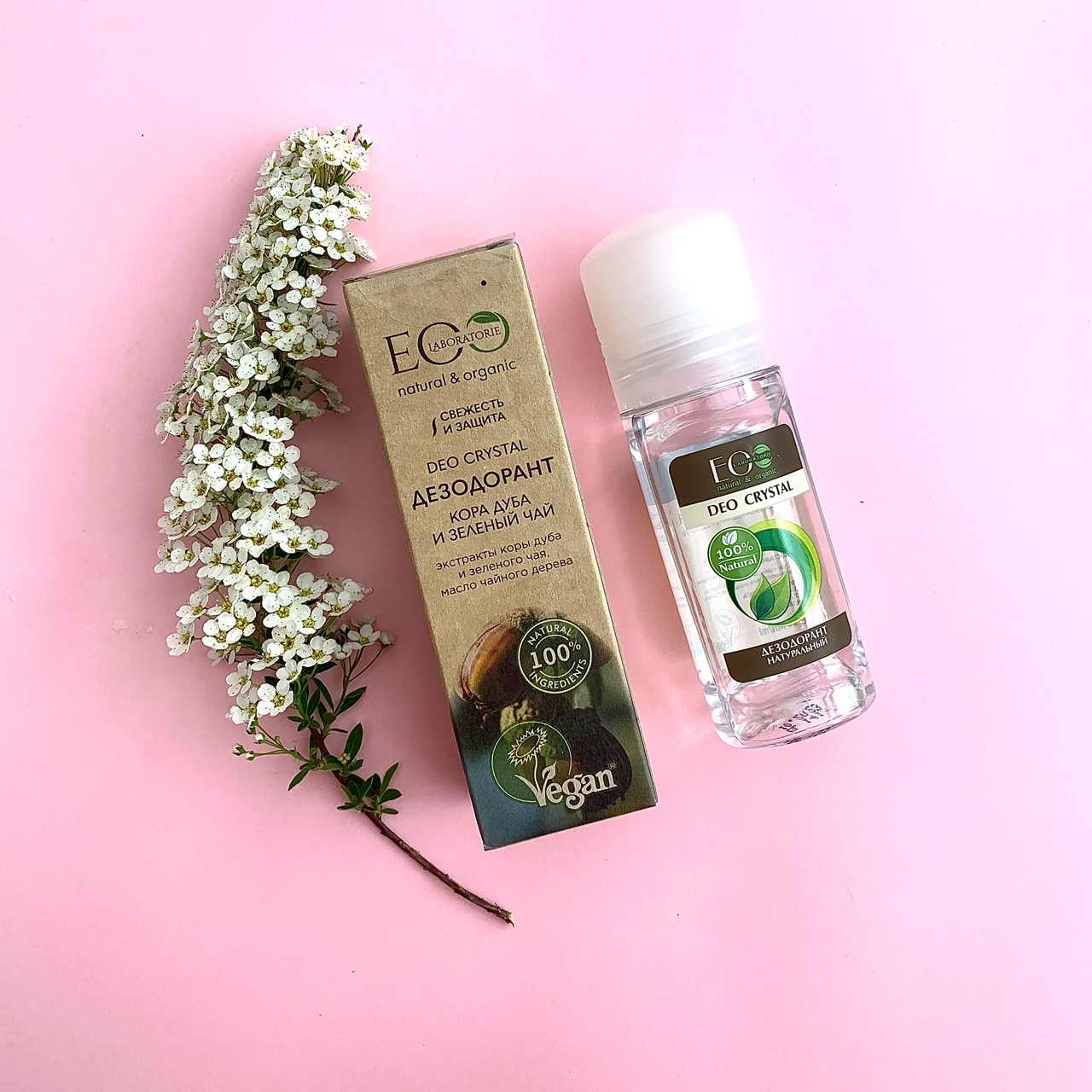  13.07. Ecolatier,Ecolab,Cafe mimi- !
