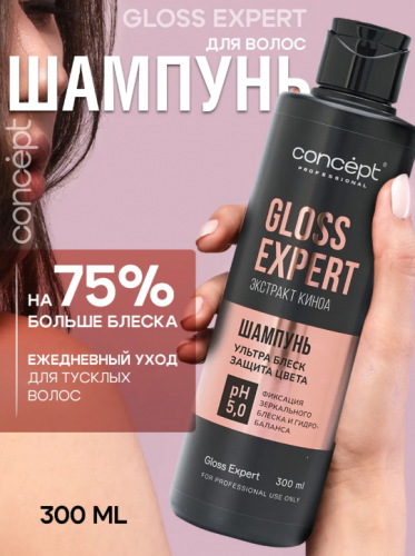 Concept       Gloss Expert        -  : 250.00  