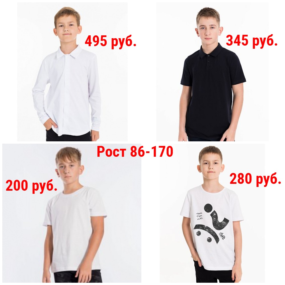   .  86-170. , , .    