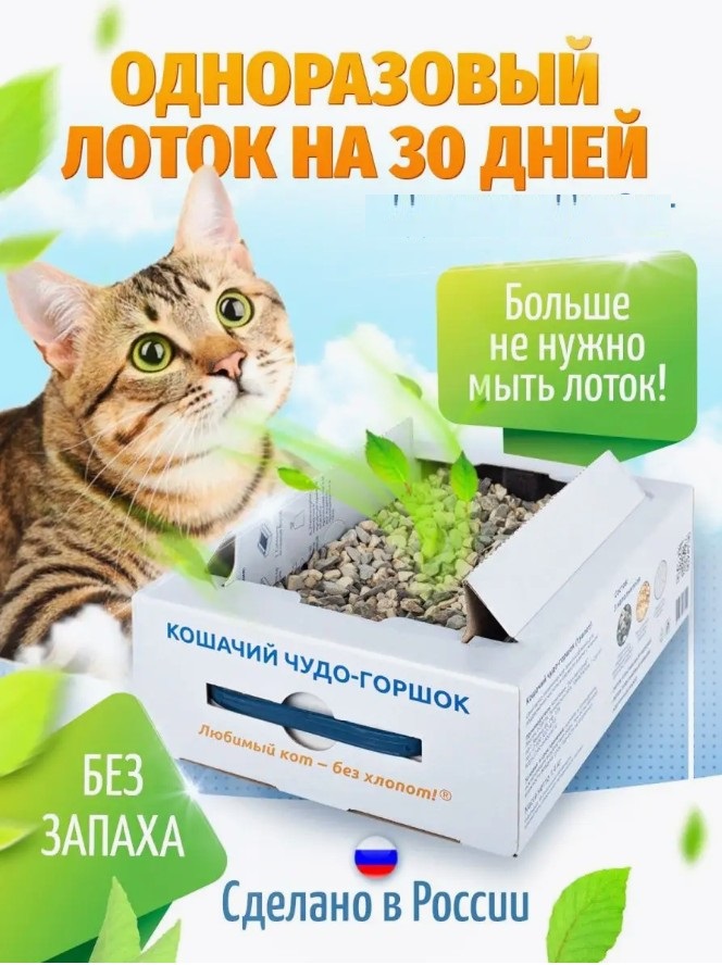 *  -  !   .     !  ! -5.