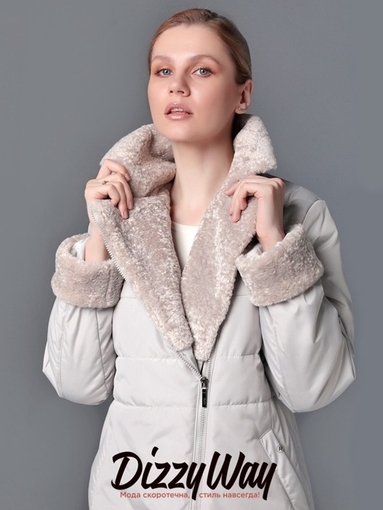   DizzyWay `25    -       : ̣, , ϣ, .          !