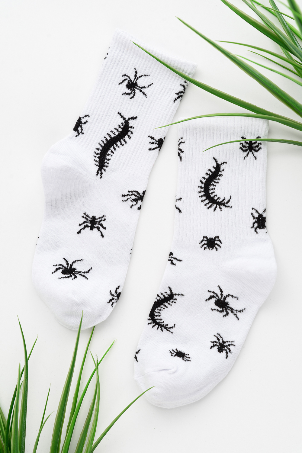   09.11.     ,   , ,   .  ,  .     ,     !