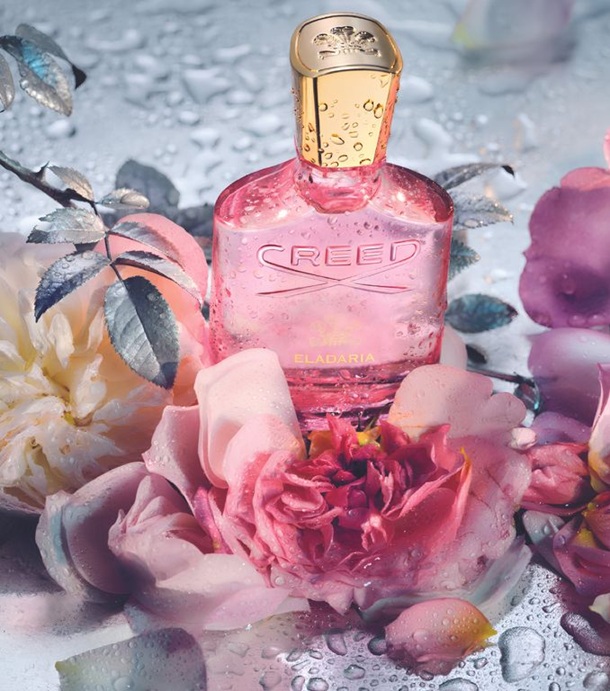 ! Creed Eladaria -     Creed,     ,    ! H       ,    !