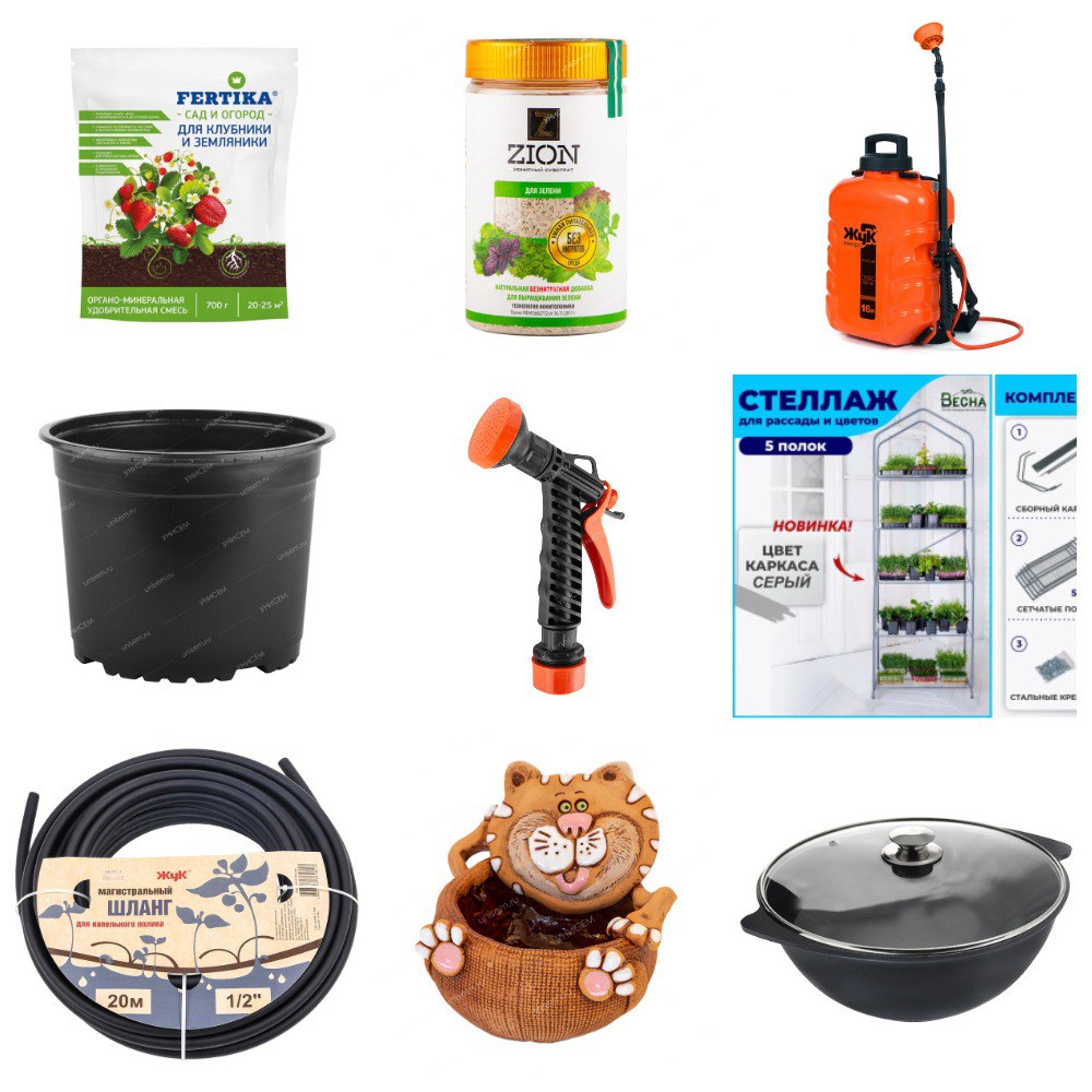  .     () 39. ( 26.11).