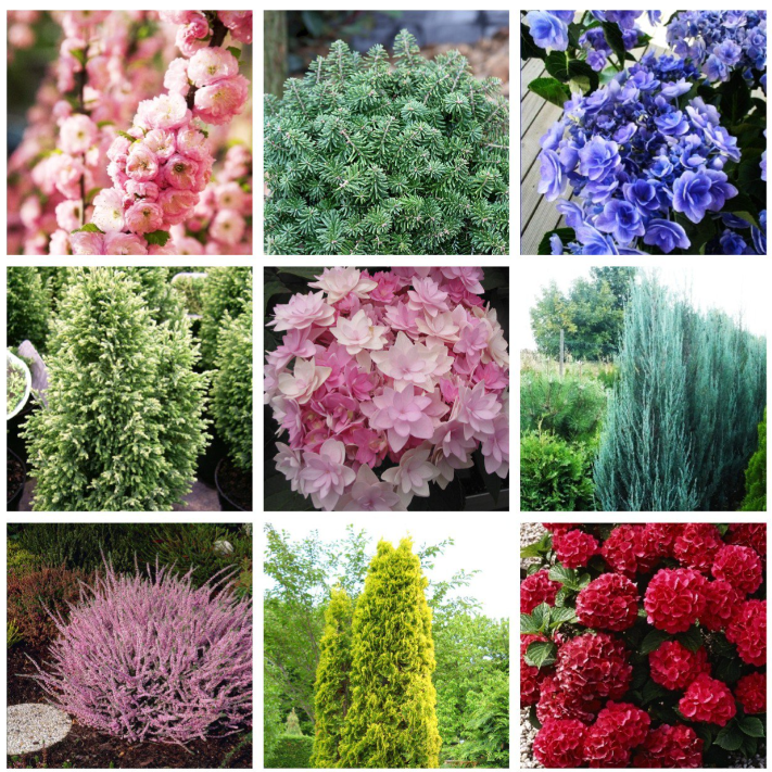  .      2026 ( 23.11)