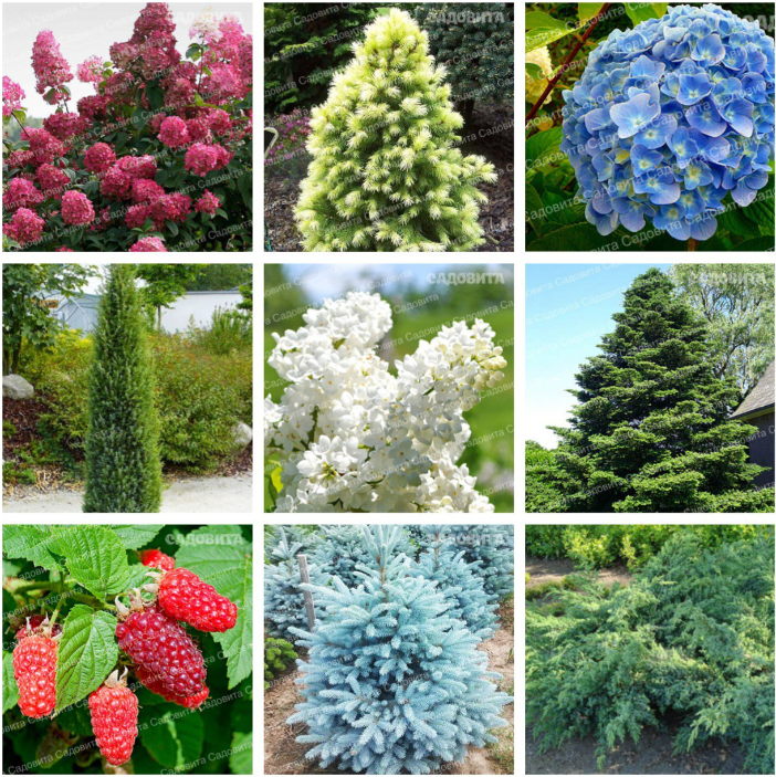  .      2026. ( 25.11)