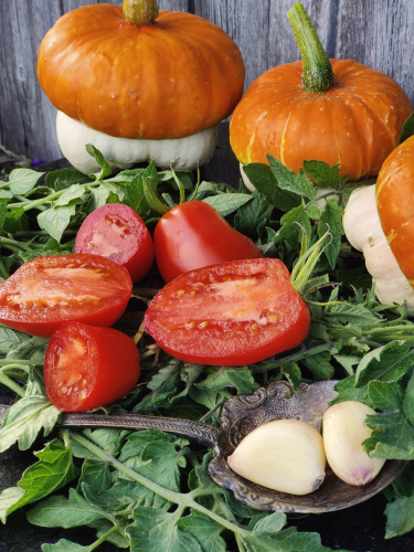 [b]     ,   .    . 25-4[/b]