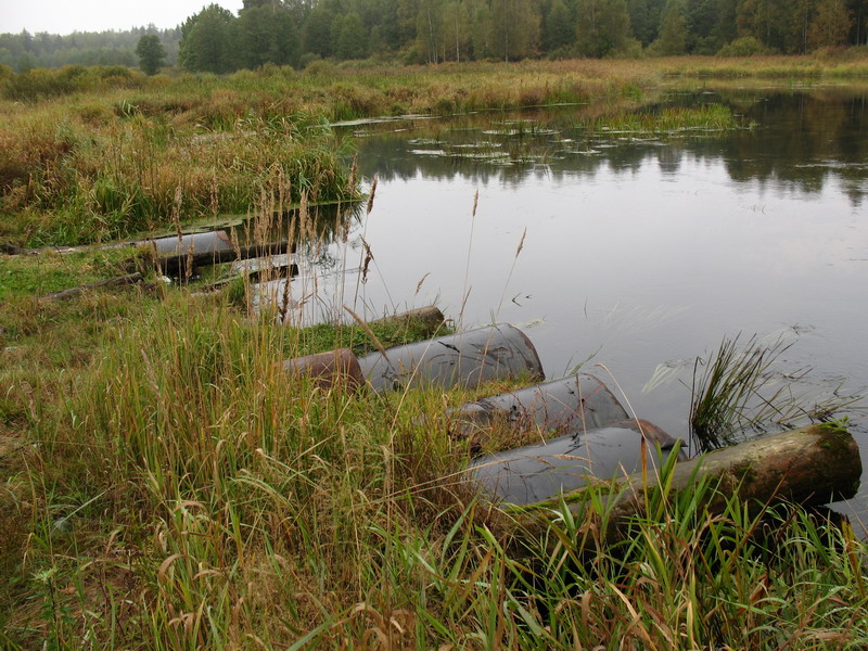 Р С‹Р±РѕР»РѕРІ РІ Р§СѓР»РєРѕРІРѕ