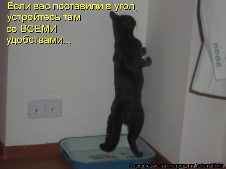 Иди В Угол