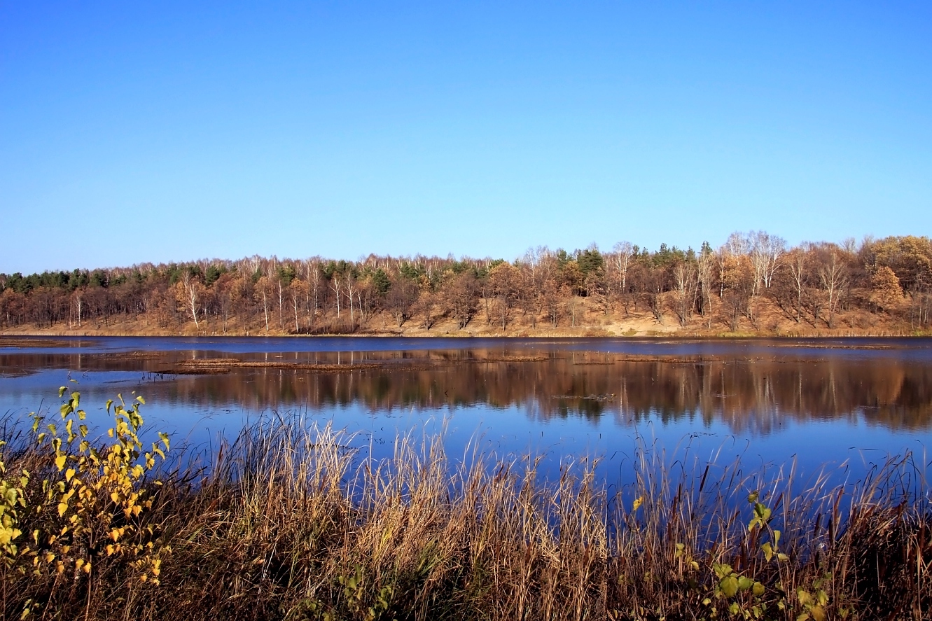 услышано озерный. нелидово указатель. наталья яковлева зато озерный. администрация зато озерный. турбаза озерная бологое.