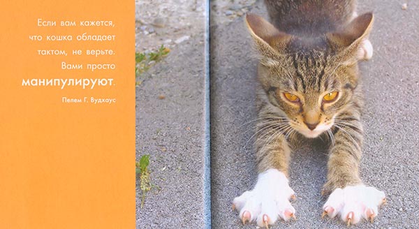 Кошка это