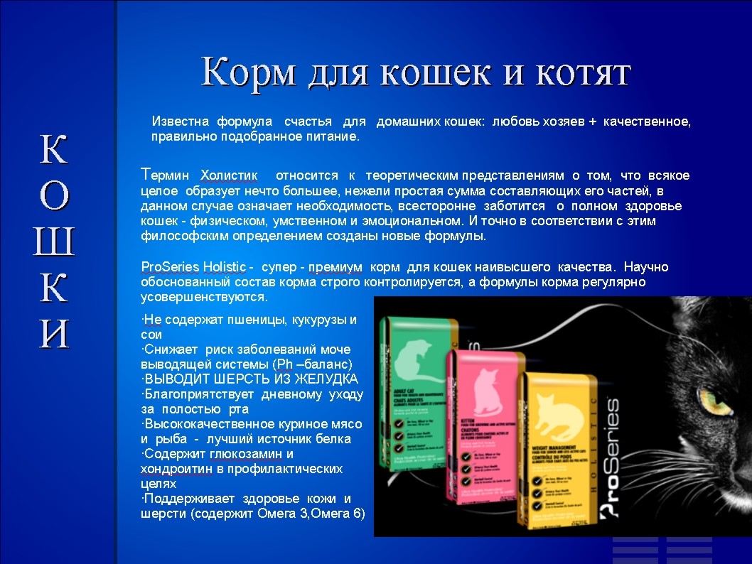 Необычное использование способностей кошек. Способности кошек. Сенсомоторный интеллект у кошек. Способности кошек. Котики математики.