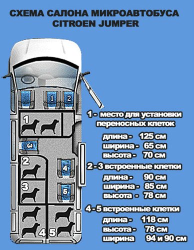 Ситроен 18 мест расположение мест