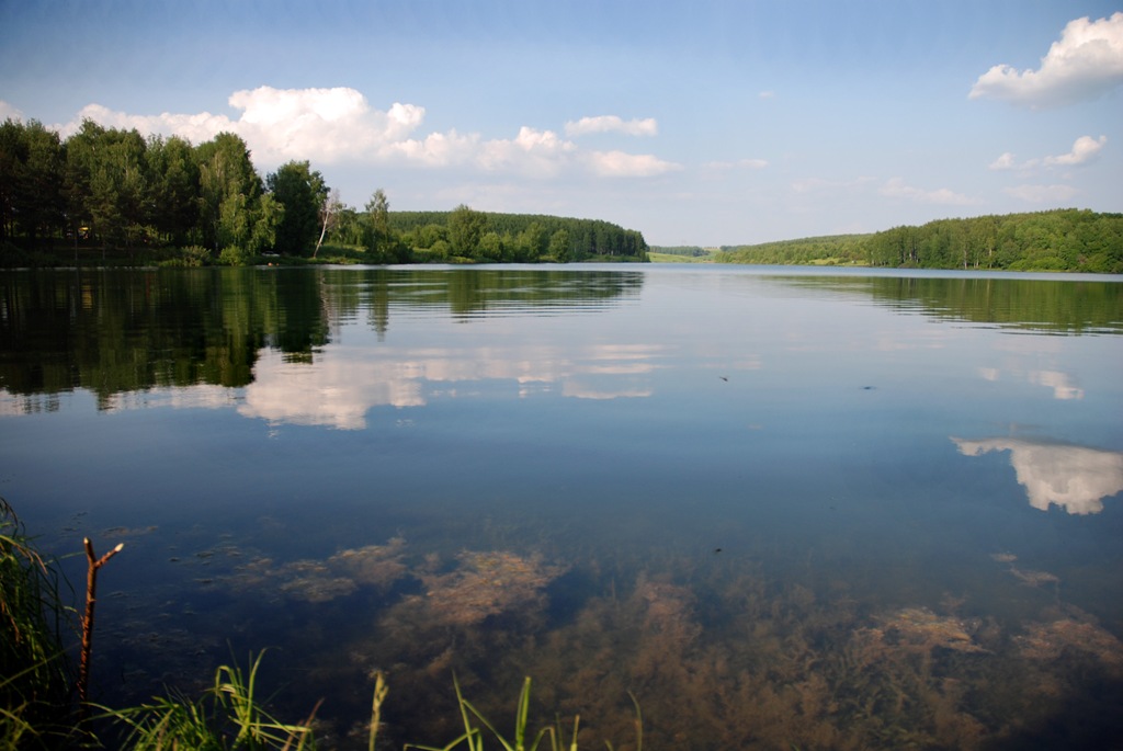 Озеро возле. Бурцево озеро. Бурцево озеро Нижегородская. Озеро у деревни Бурцево Нижегородская область. Озеро в Бурцево Талдомский район.