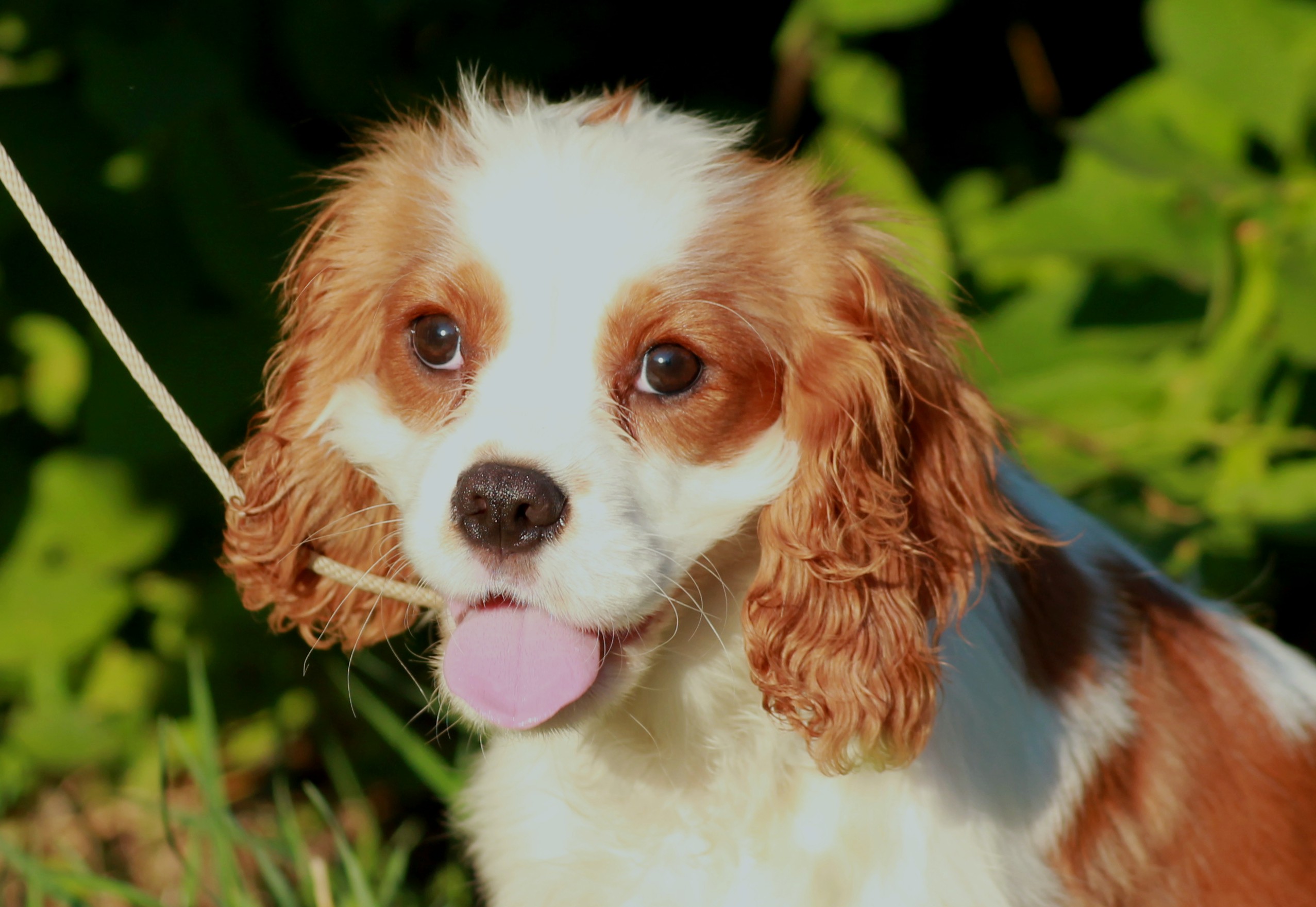 Эта картинка говорит сама за себя.