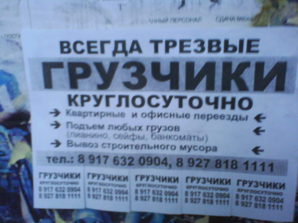 Объявления о сдаче квартиры в аренду образец для расклейки