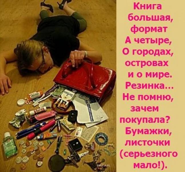 хочет женская сумочка стихи такую