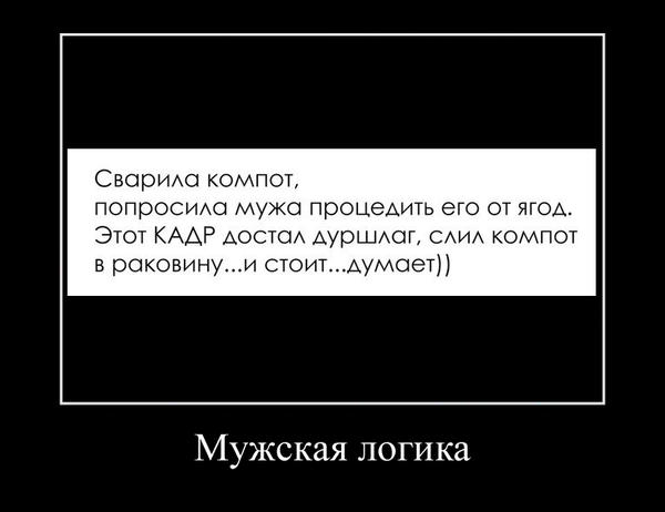 Мужская логика приколы в картинках с надписями