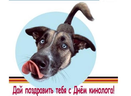 Картинки на день кинолога