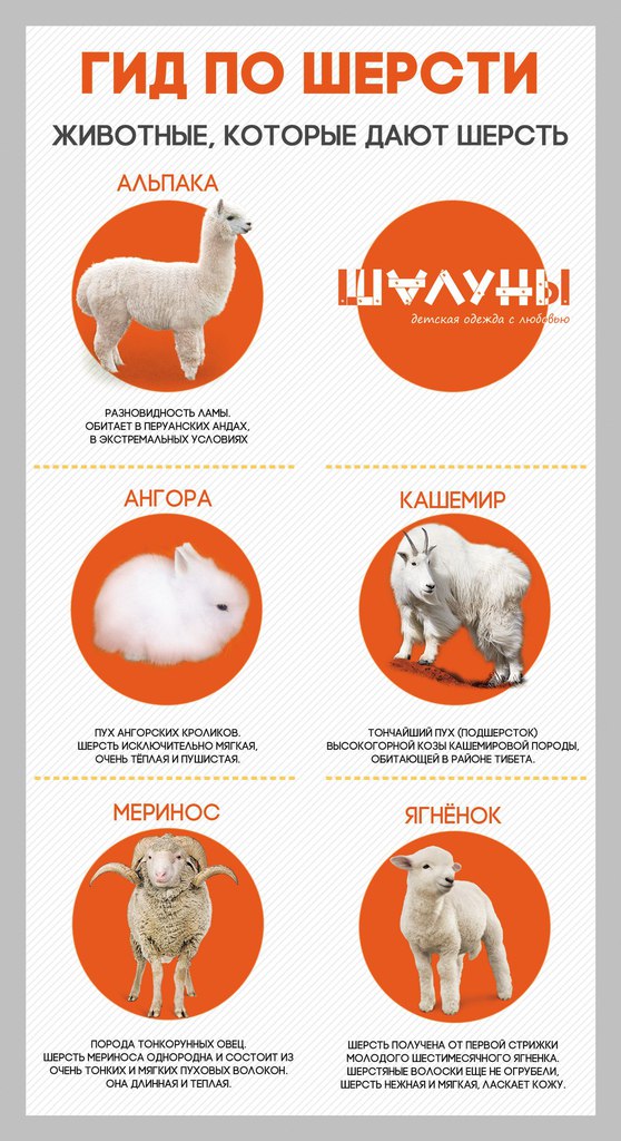 Для чего нужна шерсть фото Duhi-Queen.ru