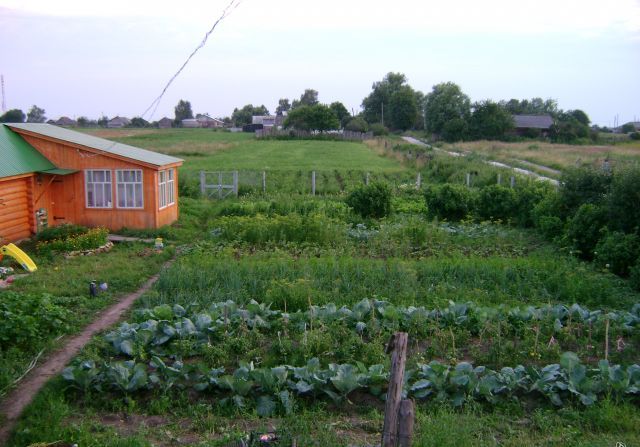 Купить Квартиру Арзамасском Районе В Чернухе