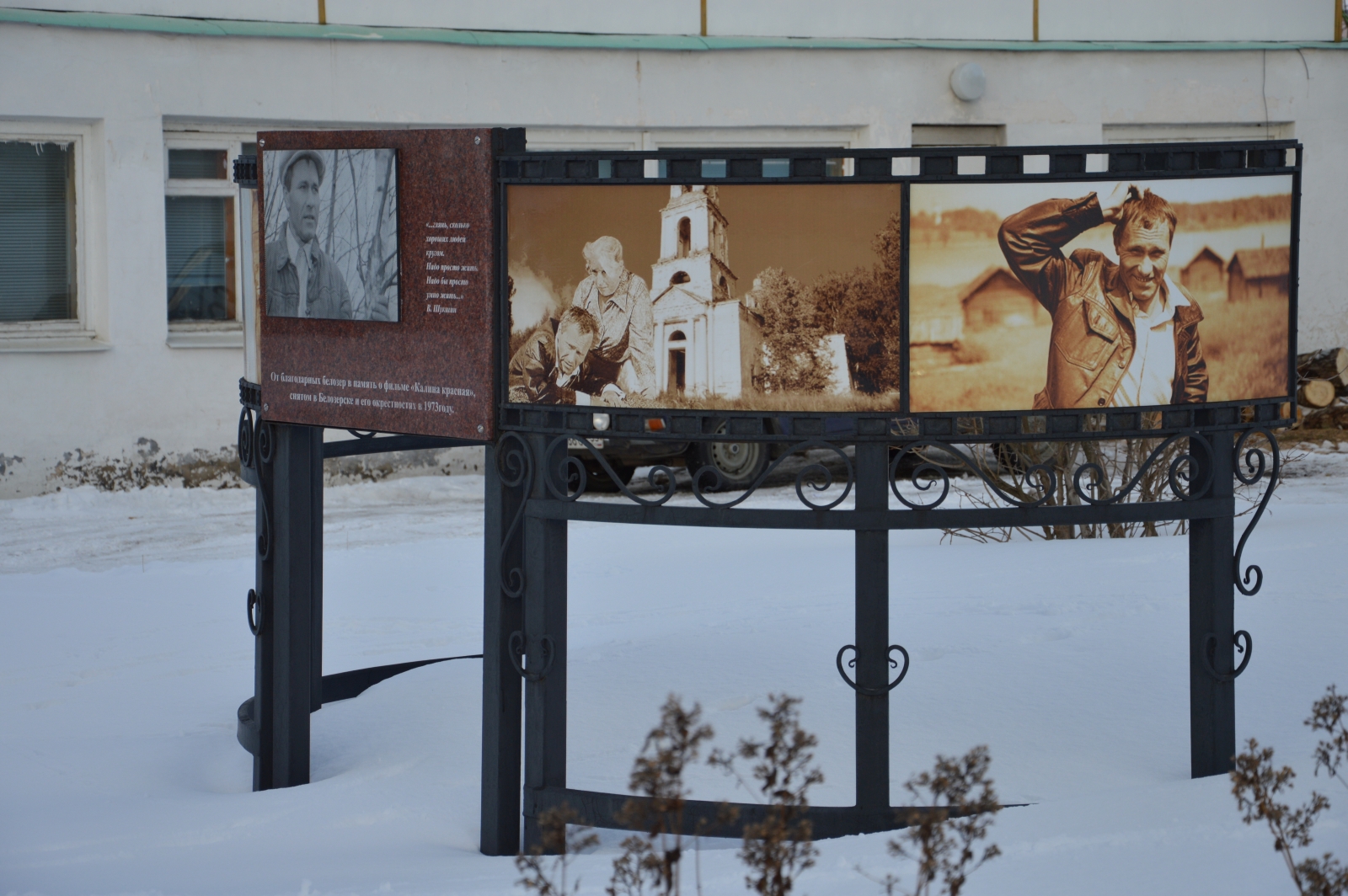 Калина красная белозерск