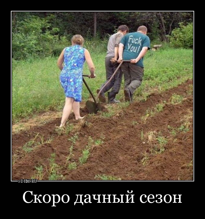 Дачные приколы картинки с подписями