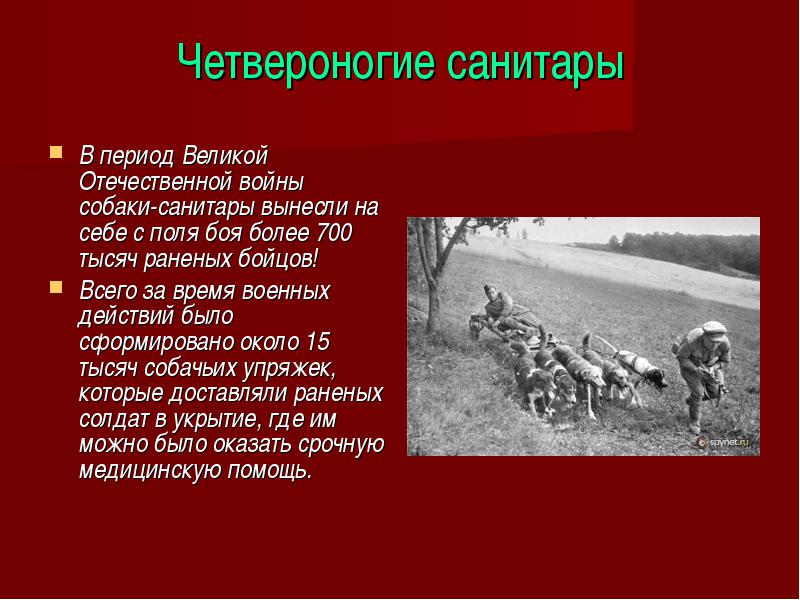 Проект санитар 88