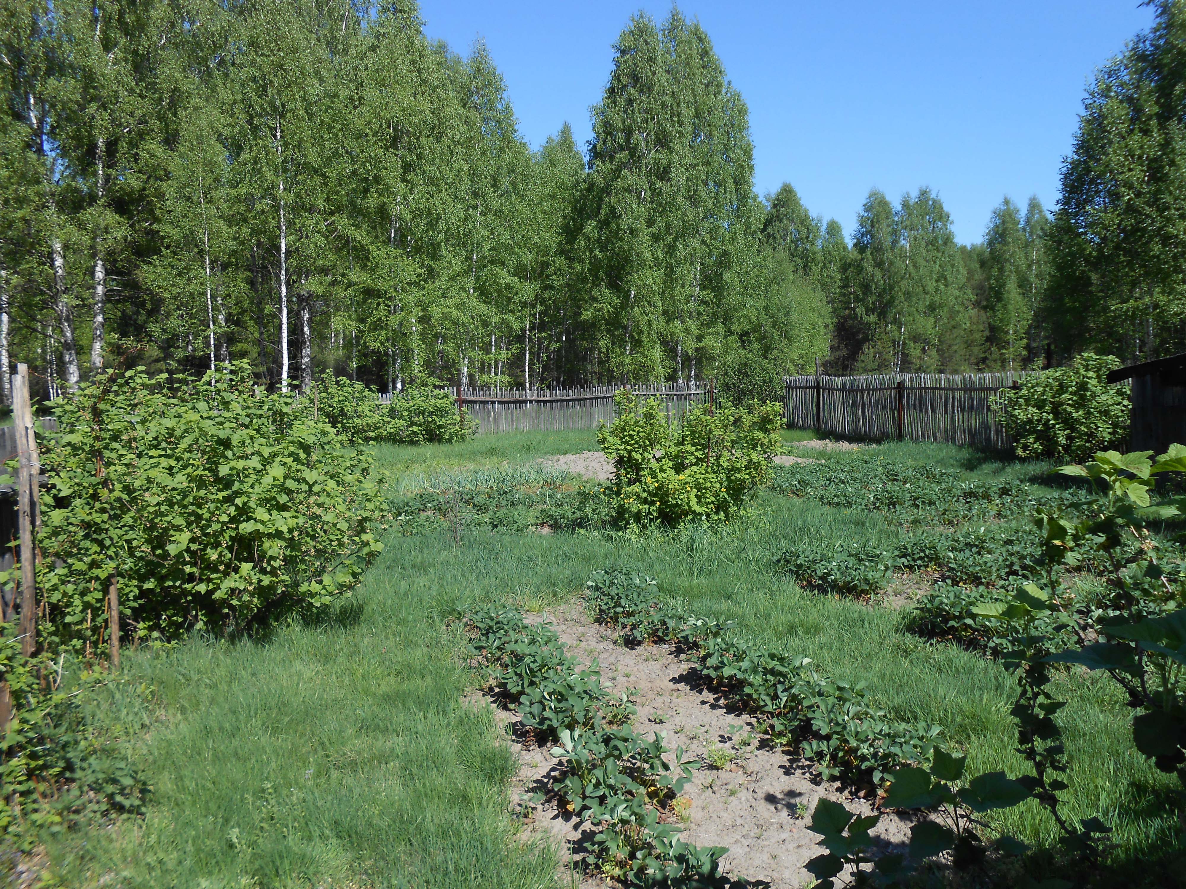 Купить Дом В Борском Районе Нижегородской
