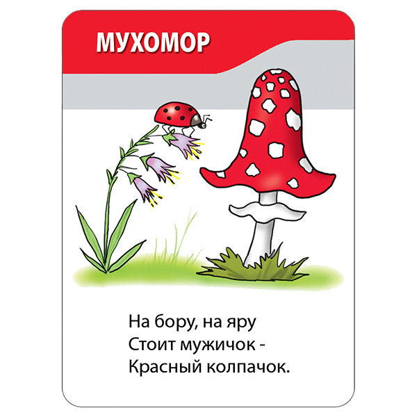 Схема слова мухомор. Загадка про мухомор. Загадка про мухомор для детей. Загадка про мухомор для дошкольников. Стишок про мухомор для детей короткие.