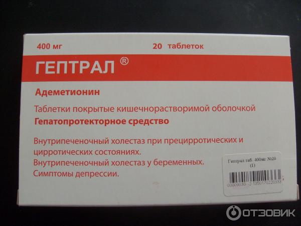 Гептрал Таблетки 500 Мг Купить В Витебске