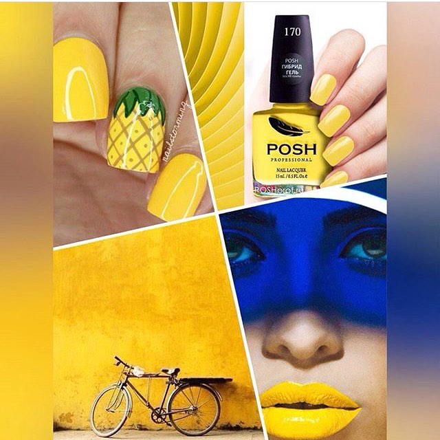 Posh pro max