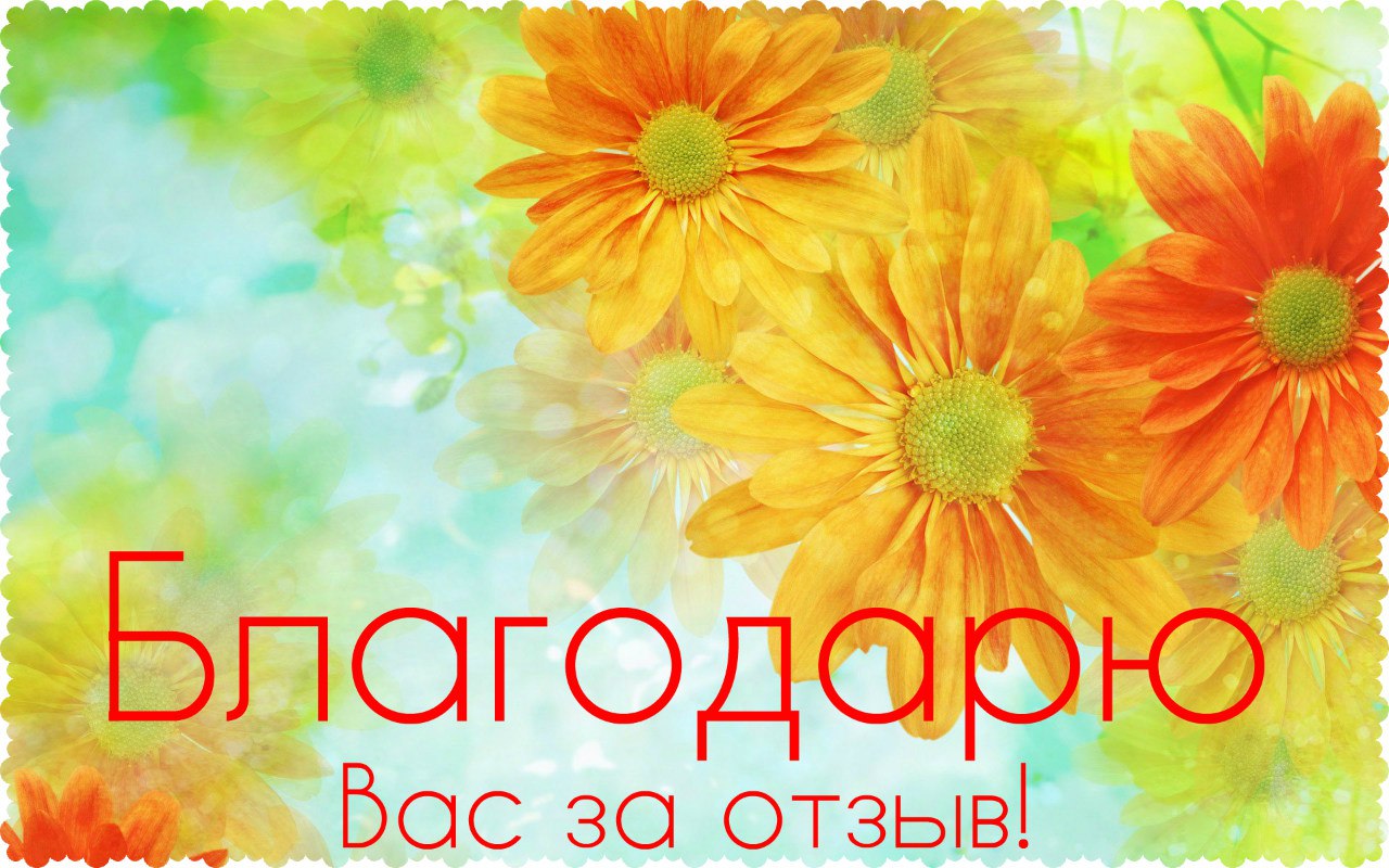 Благодарю за отклик картинки