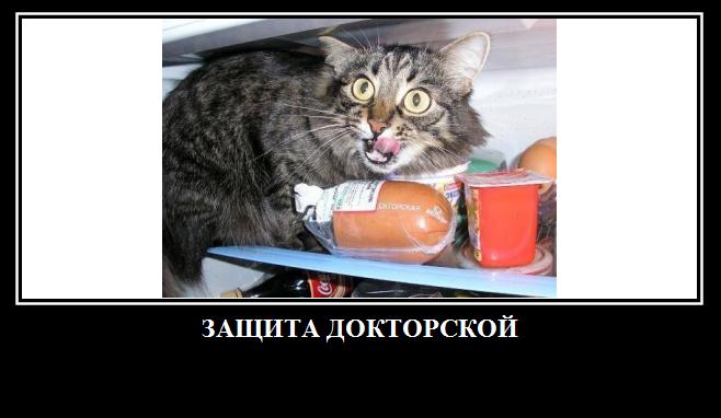Владимир Зеленский защищает докторскую - Цензор.НЕТ 8537