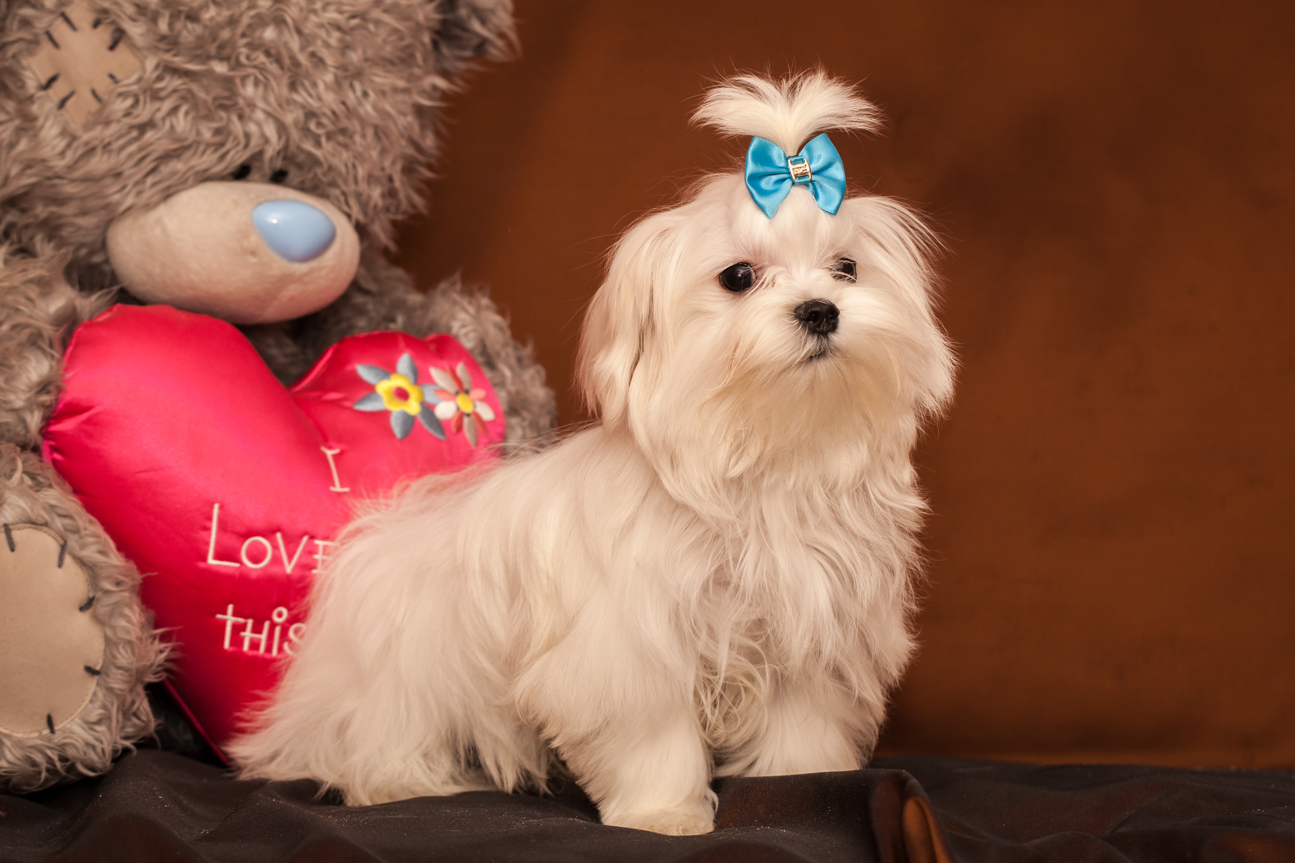 1. Положительное подкрепление