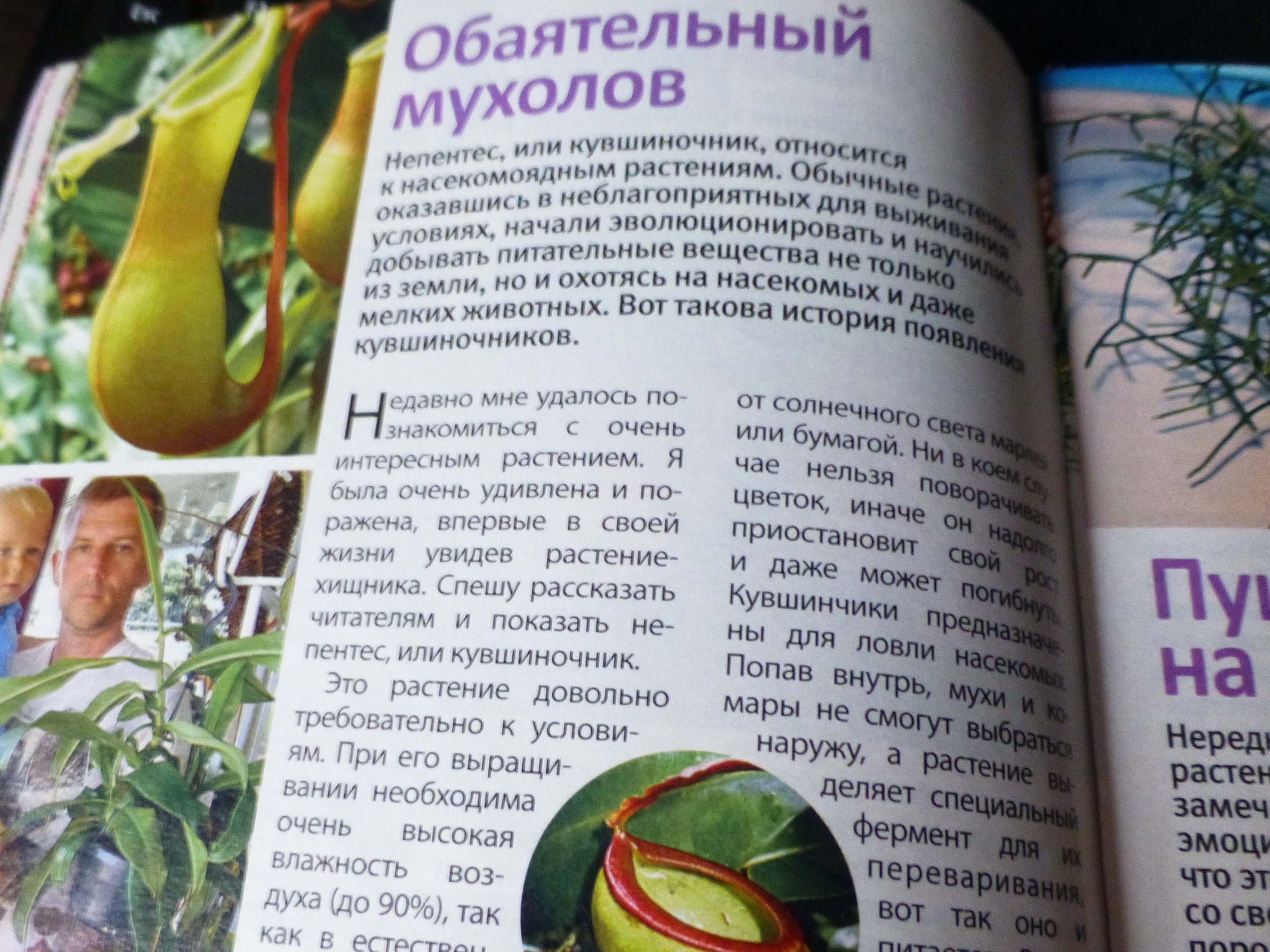 Мартиния Душистая Свойства Купить В Аптеке