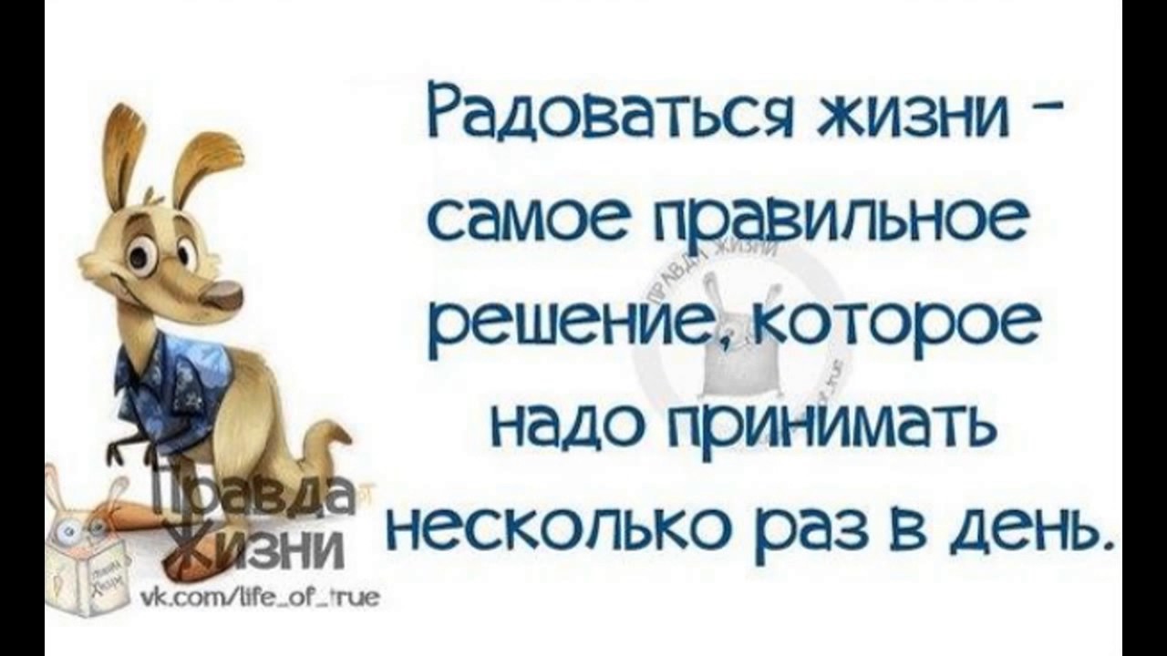 
Умные Мысли О Жизни С Юмором В Картинках