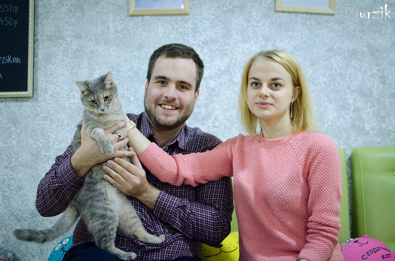 обсуждение кошек. остров кошек в японии. обсуждение кошек. тасиро. обсуждение кошек.