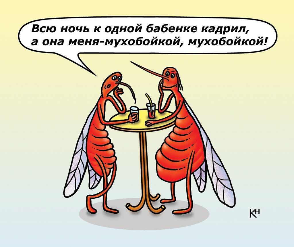 Приколы про насекомых картинки