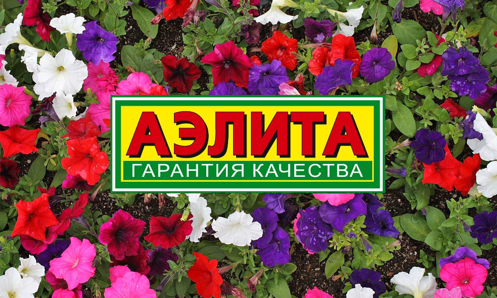 Агрофирма Купить Семена Цветов