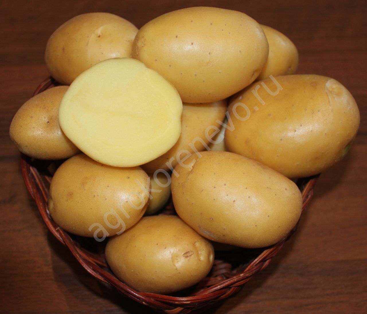 Сорт Картофеля Колобок Характеристика Отзывы Фото